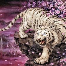 Оригинал схемы вышивки «тигр,сакура» (№1587595)