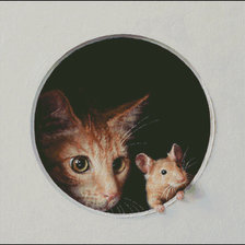 Схема вышивки «Кошки мышки»