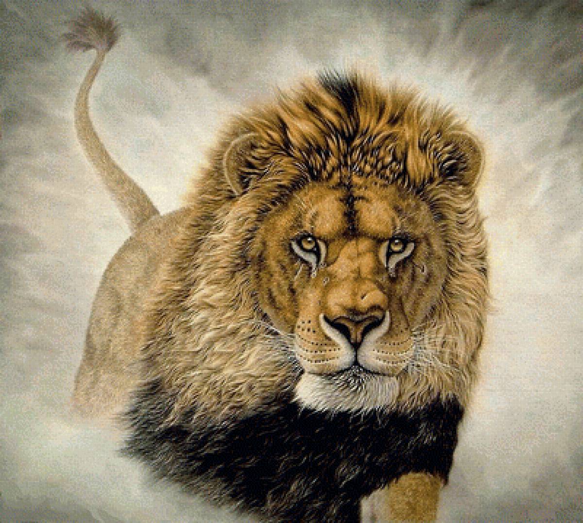 король-лев - хищники, лев - предпросмотр