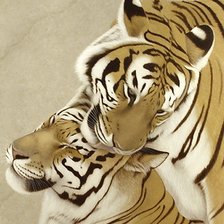 Оригинал схемы вышивки «Тигры» (№1594998)