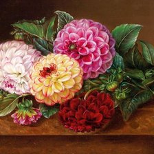 Оригинал схемы вышивки «pekné kvety» (№1595151)