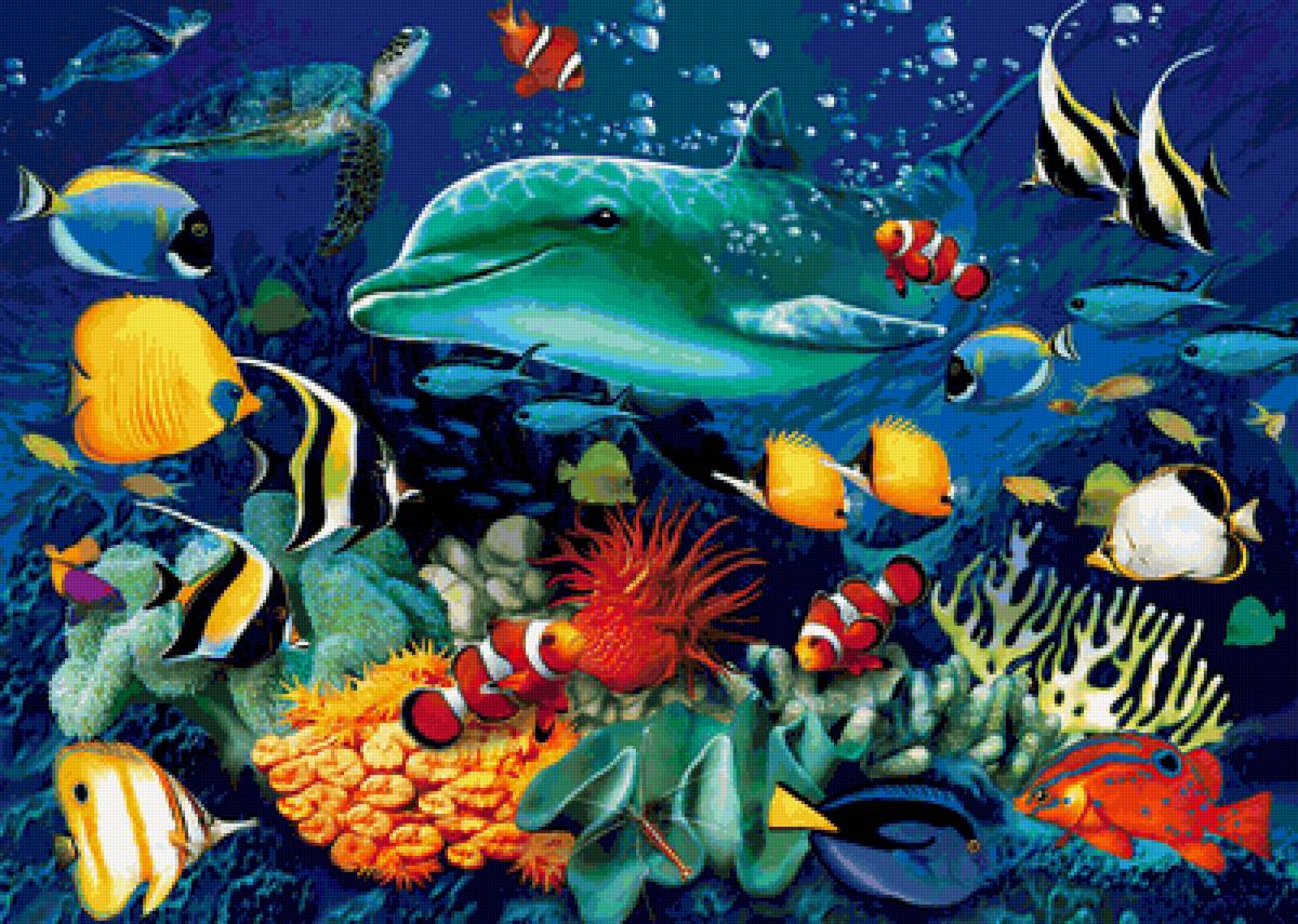 дельфин - океан, дельфин, подводный мир, рыбы - предпросмотр