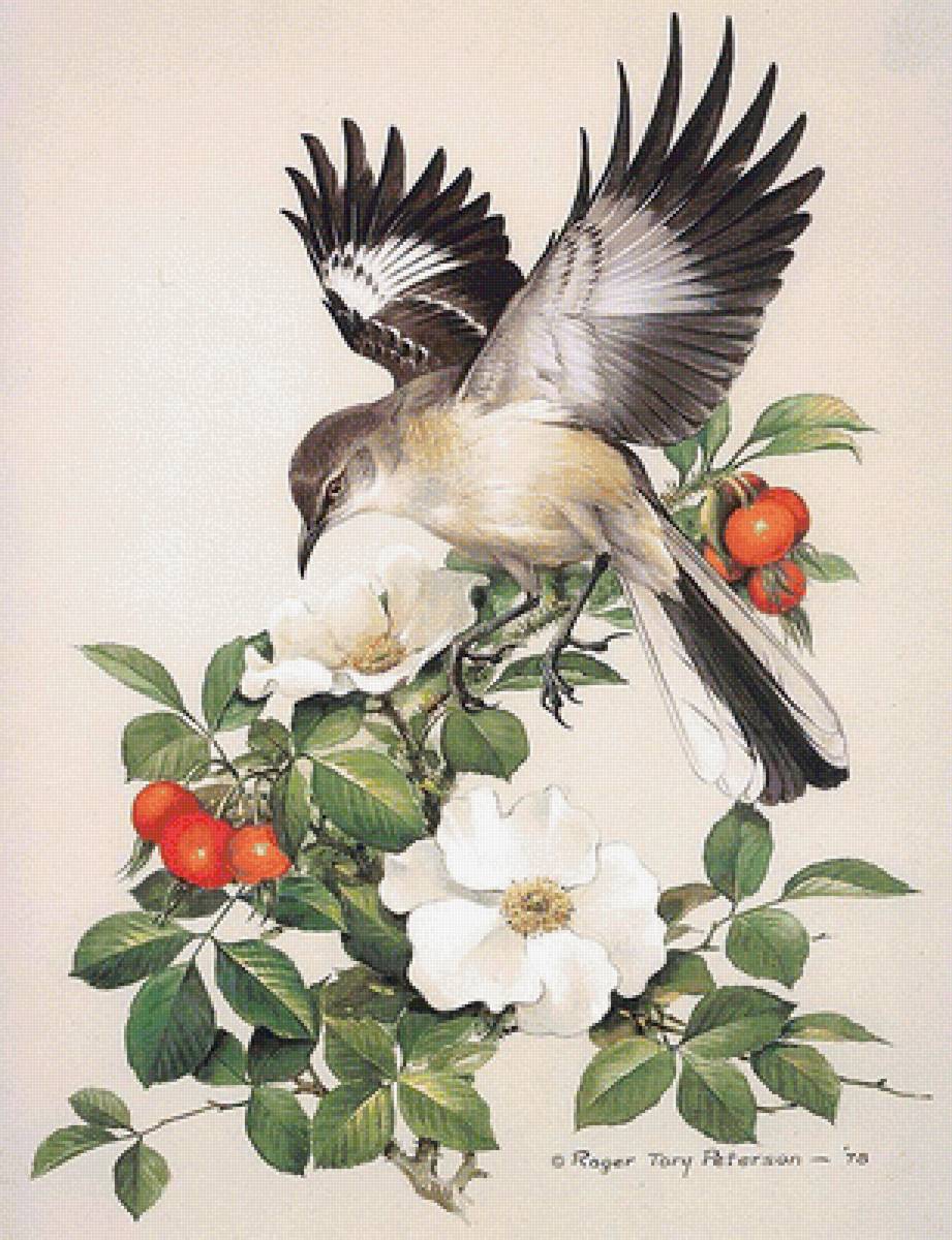 Мир птиц - шиповник, цветы, птица - предпросмотр