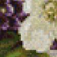 Предпросмотр схемы вышивки «Цветы» (№1598293)