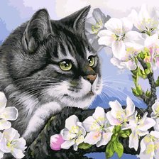 Кот в яблоневом цвету