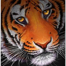 Оригинал схемы вышивки «Тигр» (№1600092)