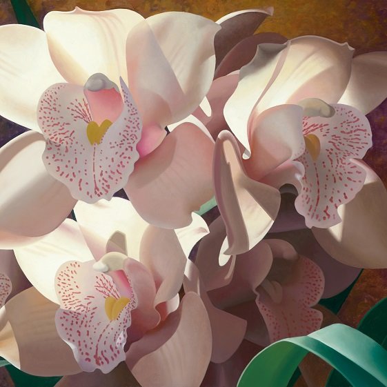 Орхидеи - цветы, орхидея - оригинал