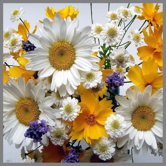 Букет цветов - цветы, ромашки, букет - оригинал