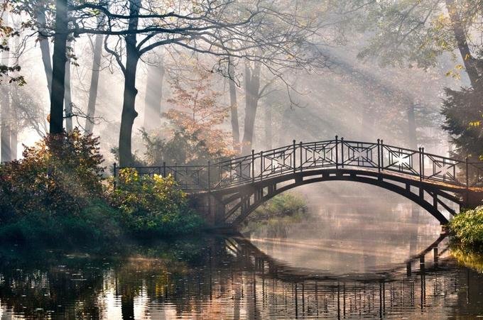 Мост - мост, туман, лес, река, природа - оригинал