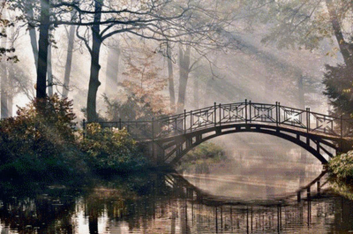Мост - природа, лес, река, туман, мост - предпросмотр