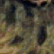 Предпросмотр схемы вышивки «Ягуар на дереве» (№1600862)
