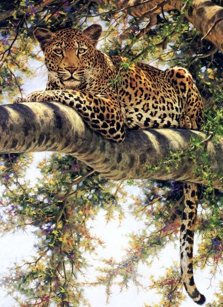 Ягуар на дереве - ягуар, кошки - оригинал