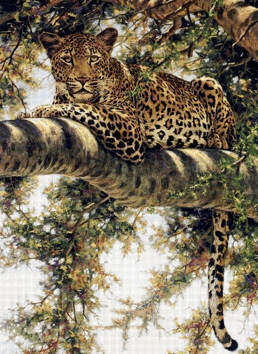 Ягуар на дереве - кошки, ягуар - предпросмотр