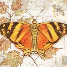 Оригинал схемы вышивки «бабочки 3» (№1601541)