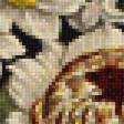 Предпросмотр схемы вышивки «kvety» (№1601830)
