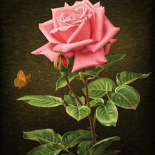 Оригинал схемы вышивки «ružová ruža» (№1601904)