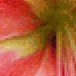 Предпросмотр схемы вышивки «Алые лилии» (№1604253)
