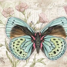 Оригинал схемы вышивки «бабочки 3» (№1605979)