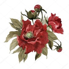 Оригинал схемы вышивки «Пион цветок» (№1606750)
