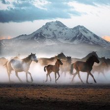 Схема вышивки «Табун лошадей в горах»