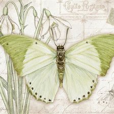 Оригинал схемы вышивки «бабочки 10» (№1610168)