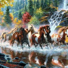 Лошади по воде