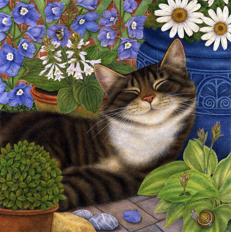 Спящий котик - кот, цветы - оригинал