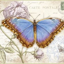 Оригинал схемы вышивки «бабочки1» (№1612469)