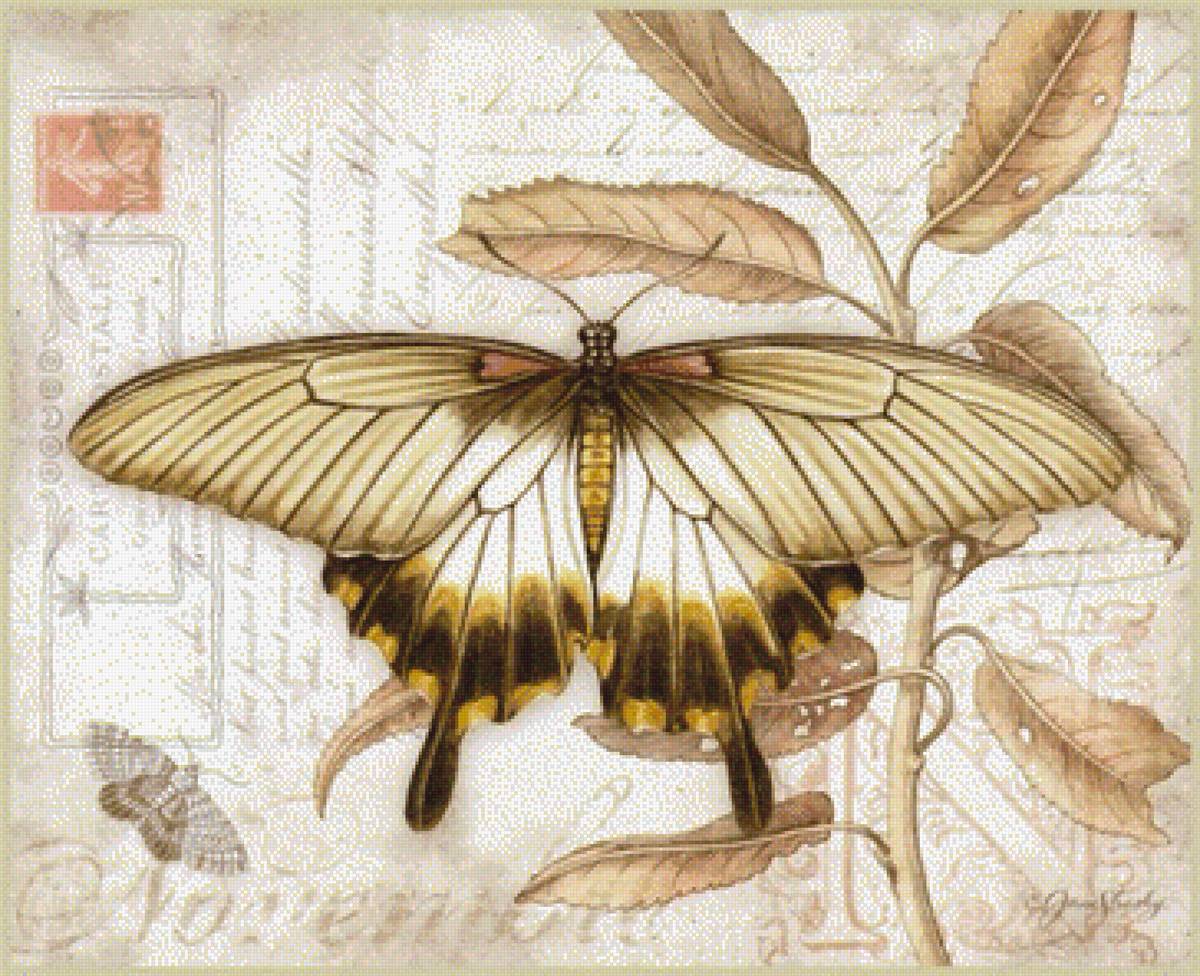 бабочки 2 - бабочки - предпросмотр