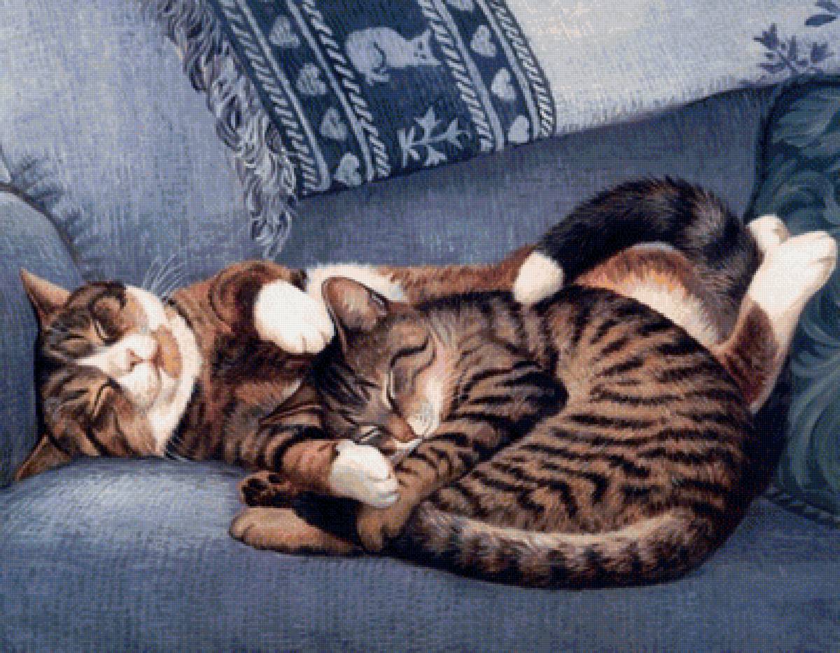 Спящие коты - коты, плед, кресло - предпросмотр