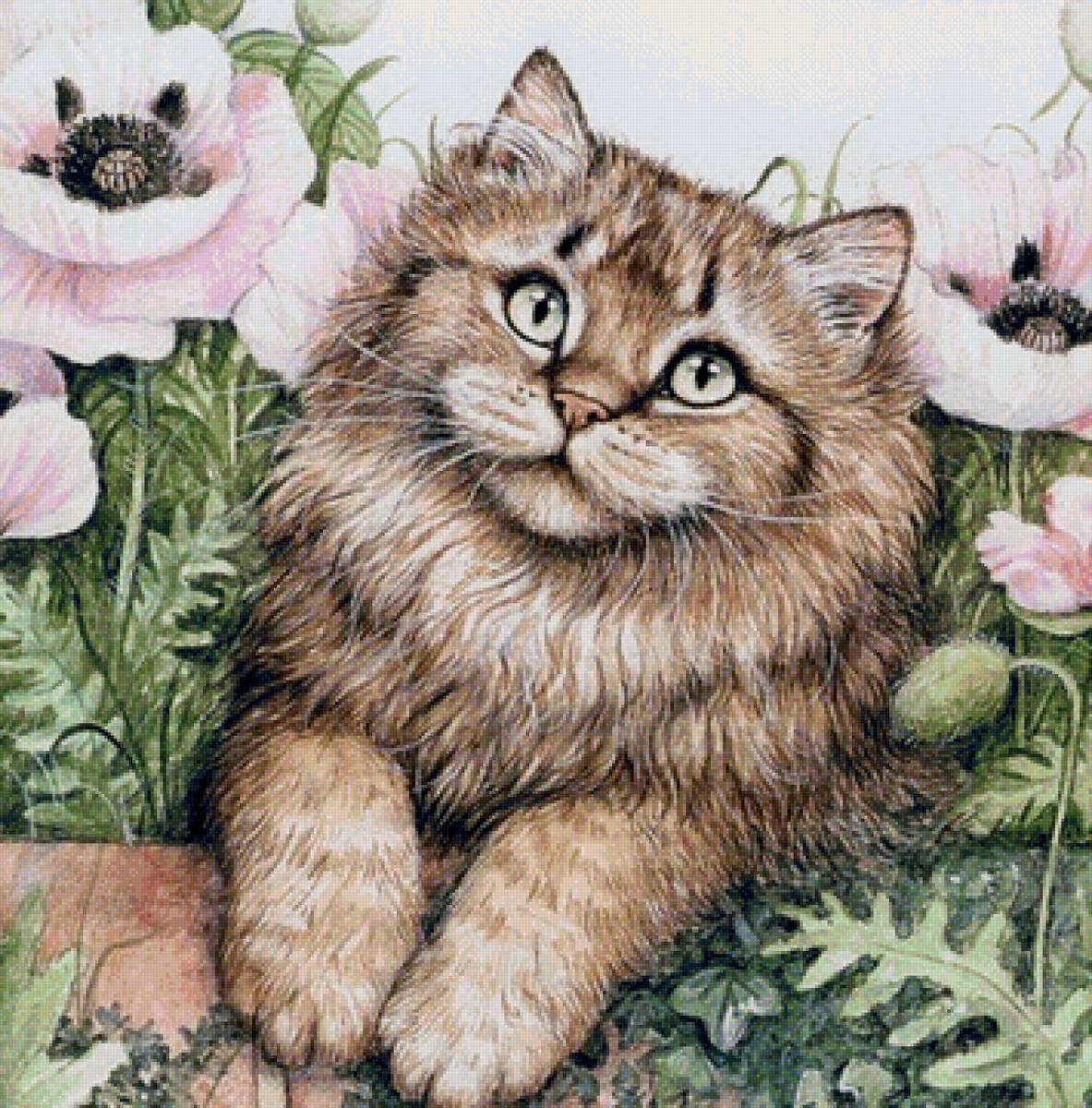 Кот и маки - коты, цветы - предпросмотр