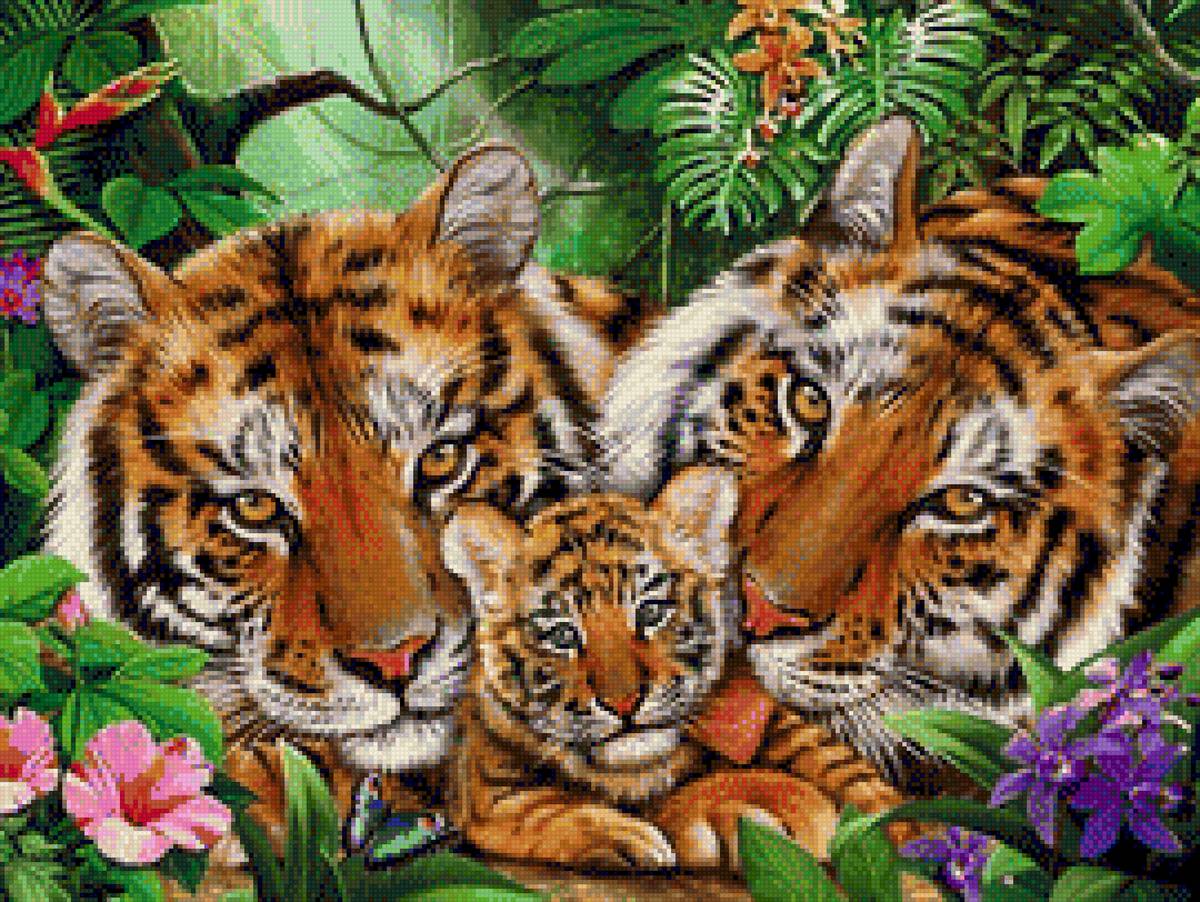 тигр - семья тигр детеныш - предпросмотр