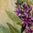 Предпросмотр схемы вышивки «Полевые цветы» (№1615292)