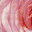 Предпросмотр схемы вышивки «Розы» (№1615381)