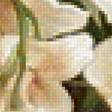 Предпросмотр схемы вышивки «Орхидеи» (№1616362)