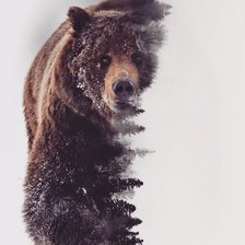 Оригинал схемы вышивки «Медведь» (№1617528)