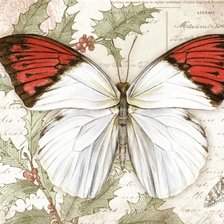 Оригинал схемы вышивки «бабочки 6» (№1618248)