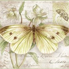 Оригинал схемы вышивки «бабочки 12» (№1618279)