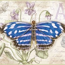 Оригинал схемы вышивки «бабочки 14» (№1618283)