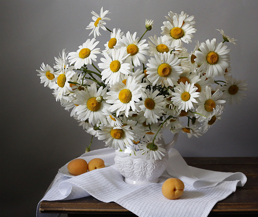 Ромашки - цветы в вазе, белые цветы, цветы - оригинал