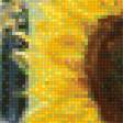 Предпросмотр схемы вышивки «Цветы солнца» (№1619843)