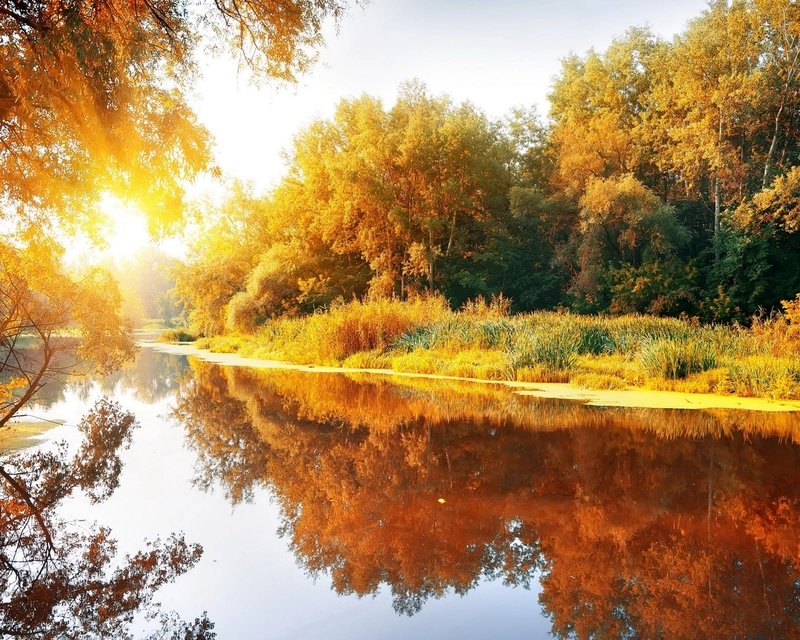 Пейзаж - осень.река.пейзаж.природа - оригинал