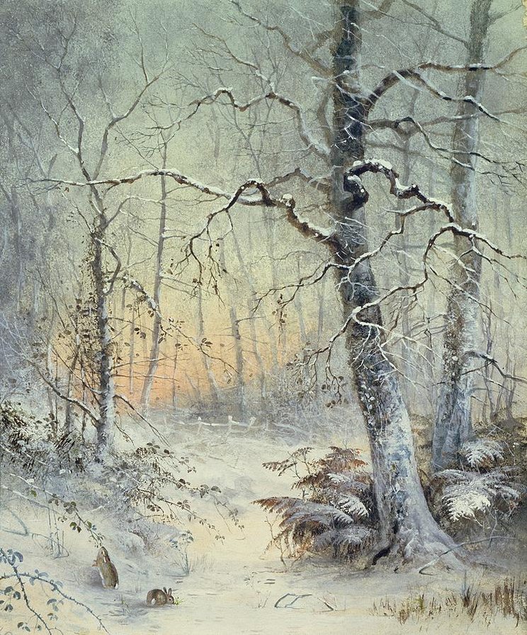 морозное утро в лесу - снег, зима, природа, пейзаж - оригинал