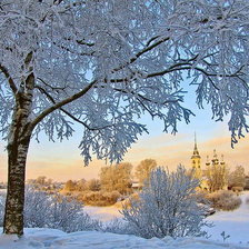 Схема вышивки «№1621992»