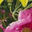 Предпросмотр схемы вышивки «váza,kvety» (№1623009)