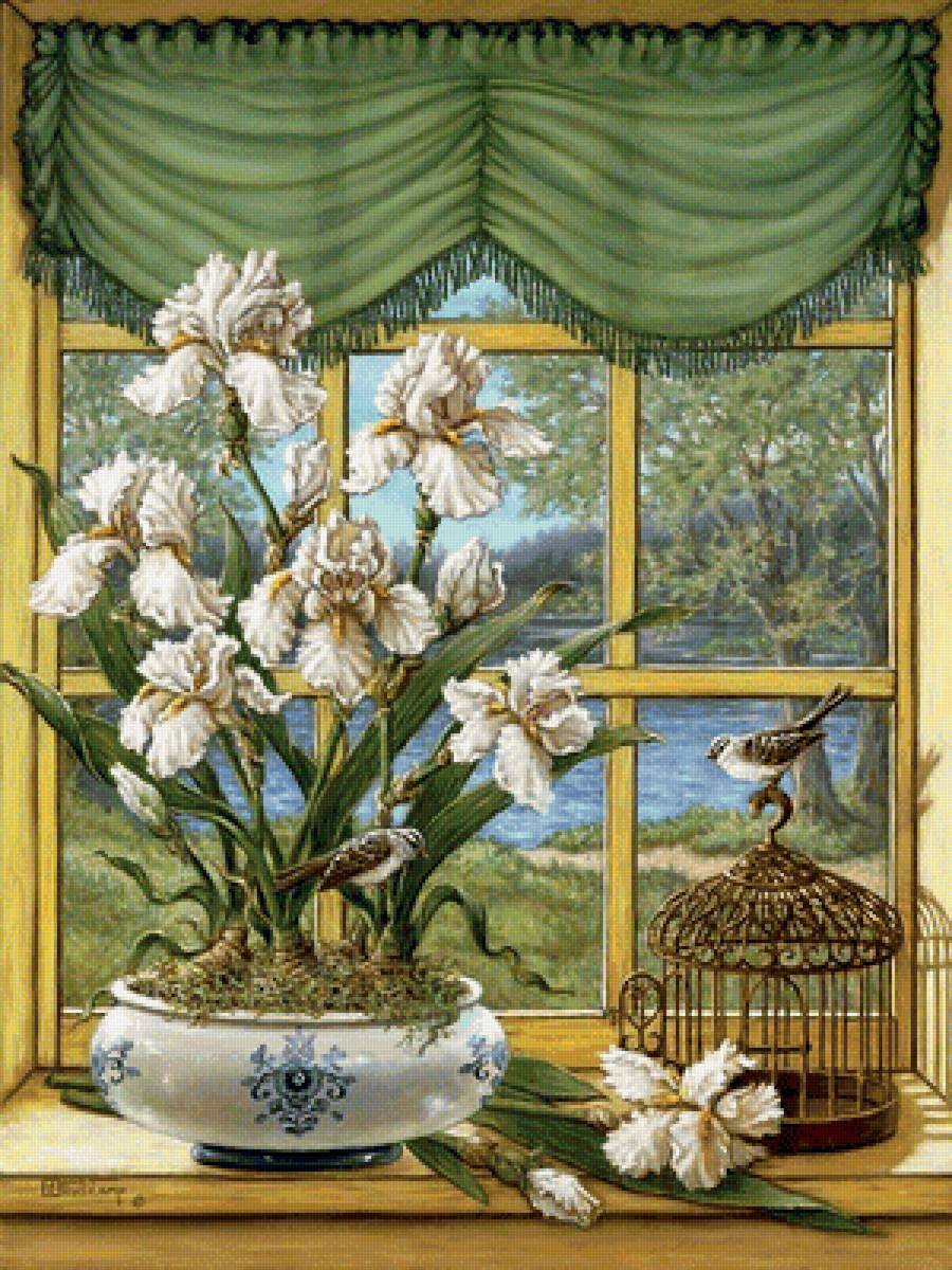 Окно... - шторы, цветы, окно, птица, природа - предпросмотр