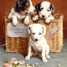 Схема вышивки «Три щенка»