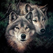Оригинал схемы вышивки «волки.верность» (№1624370)