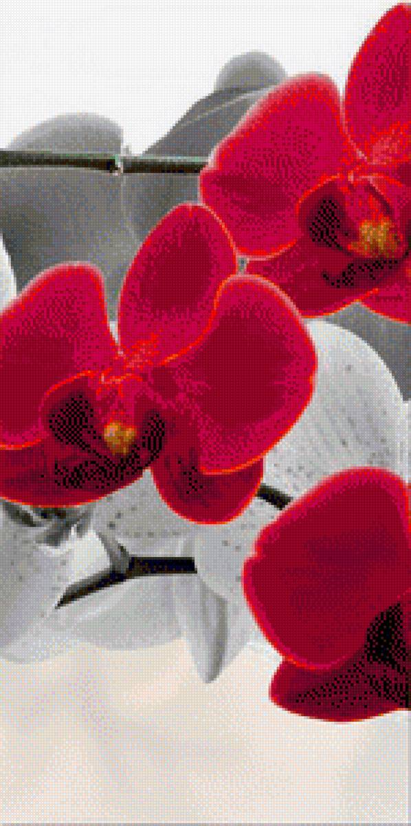 триптих орхидеи 2 - орхидея, триптих - предпросмотр