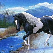 Лошадь2